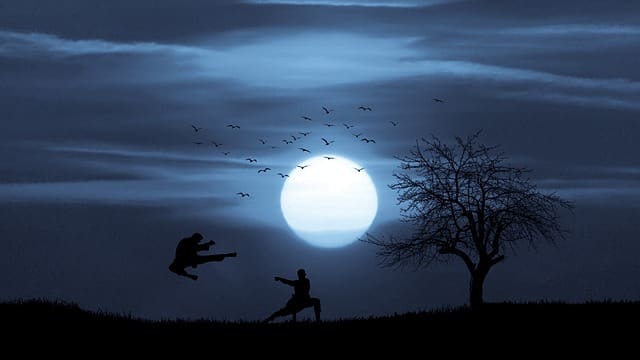 Karate kid